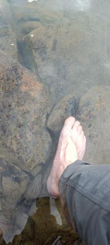 IMG20240812113520-Groot